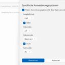 spezifische Konvertierungseinstellungen